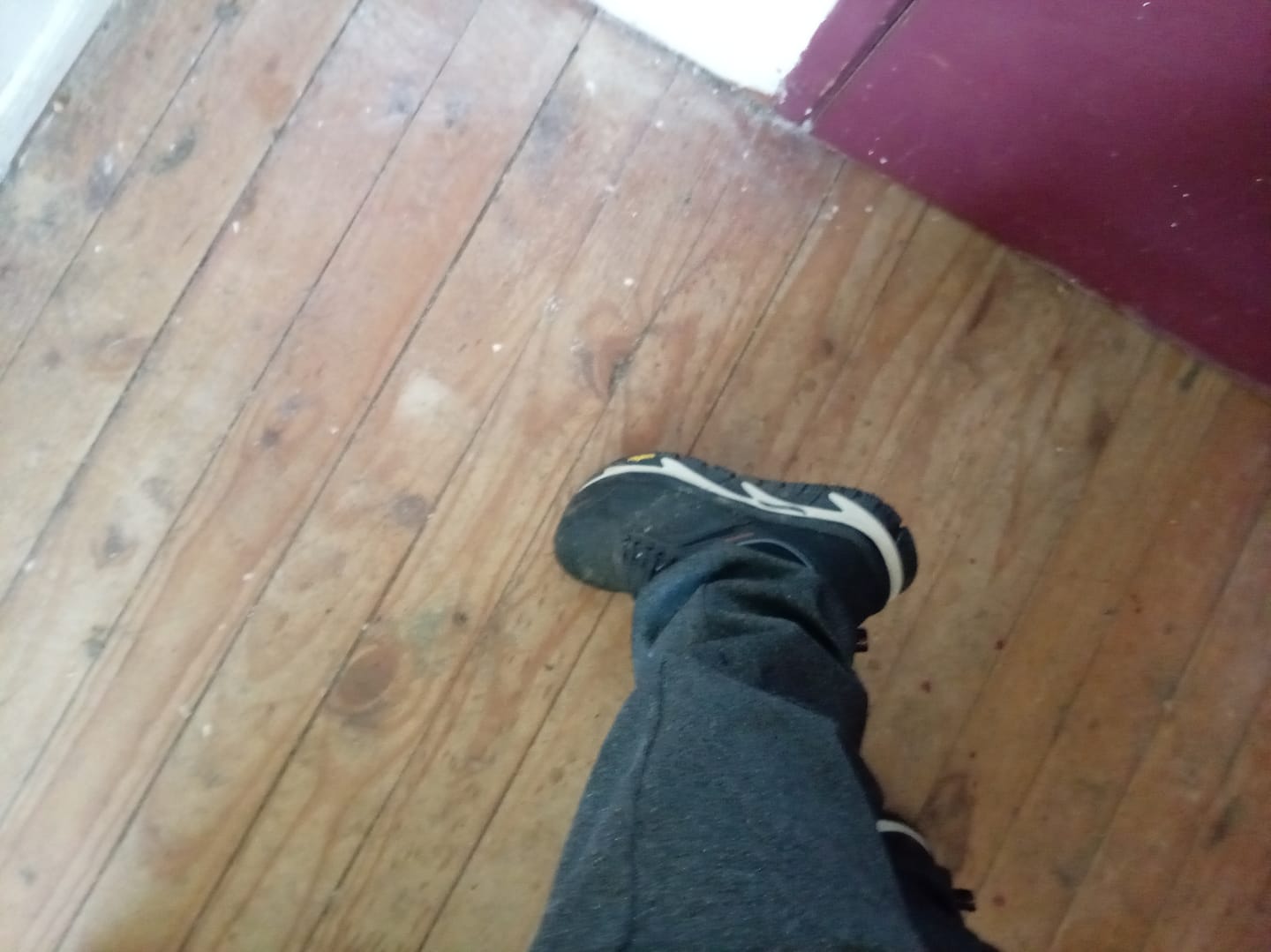 Customer photo review of Zapatilla de Seguridad Hombre Skechers Work Raylan Negro Composite Toe
