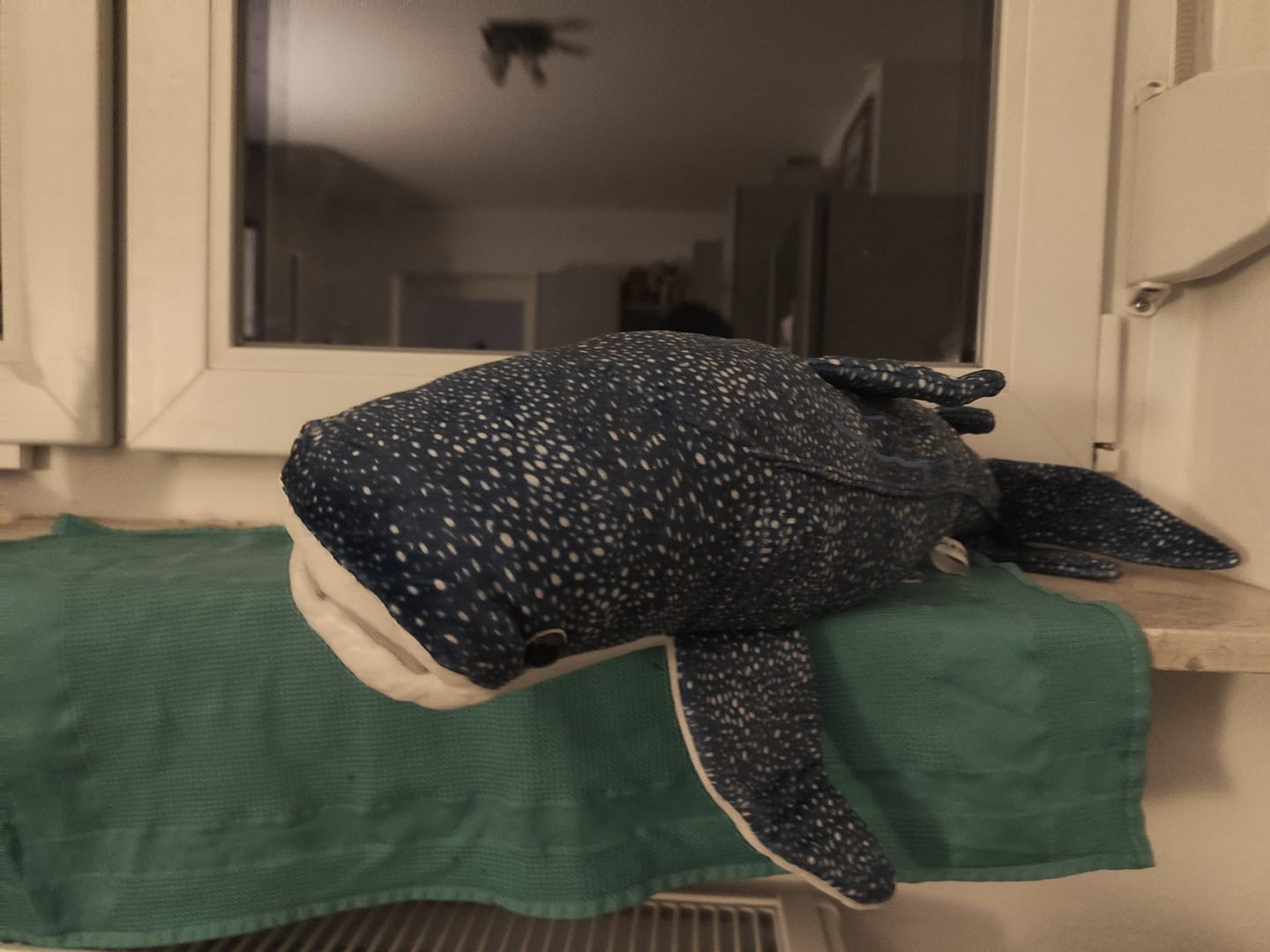 Customer photo review of Whale Shark Soft Stuffed Plush Toy