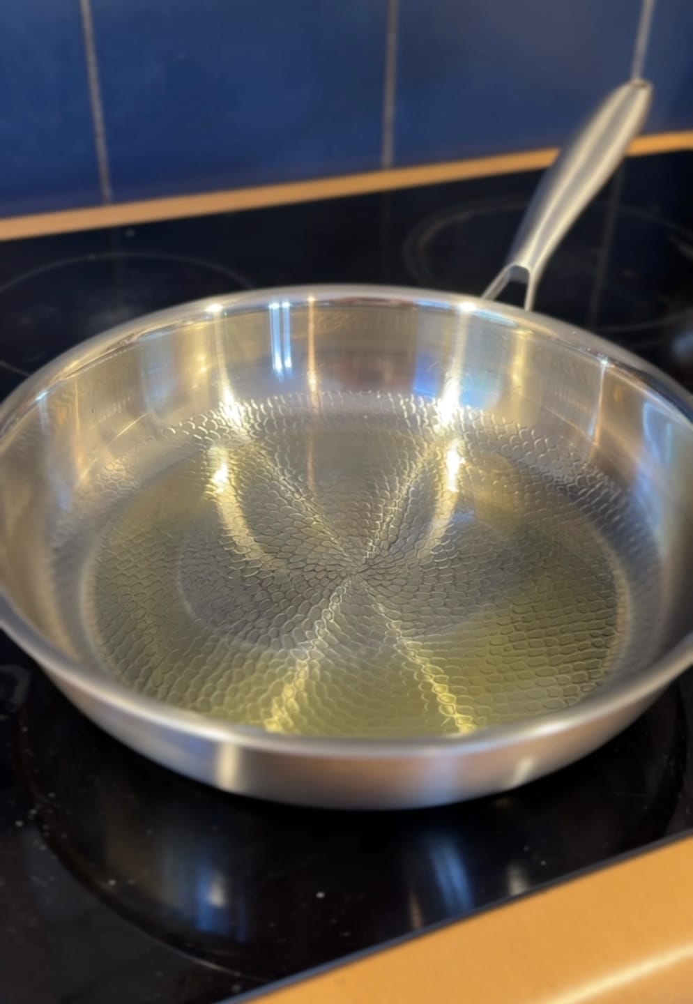 Customer photo review of Hand-Hammered Titanium Pan