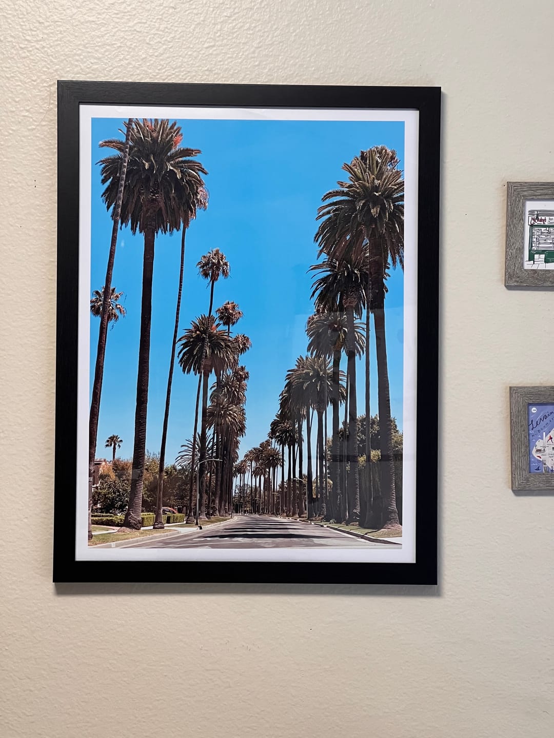 Customer photo review of Los Angeles Palm Trees Street