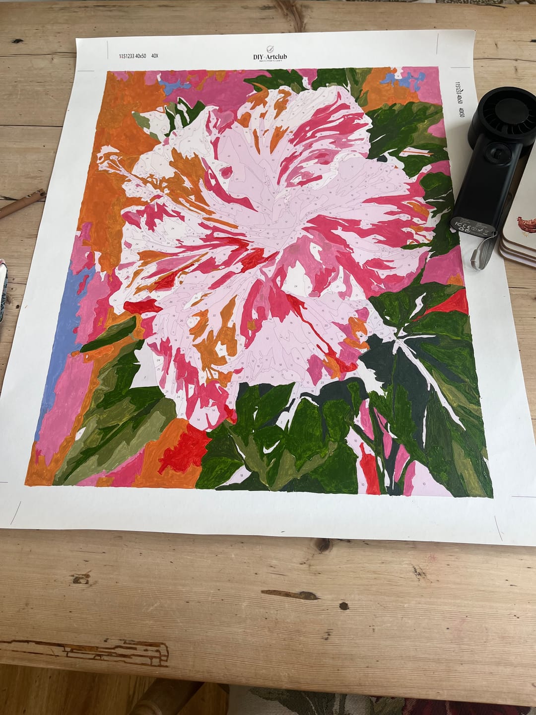 Customer photo review of Colorful Hibiscus | Paint by Number