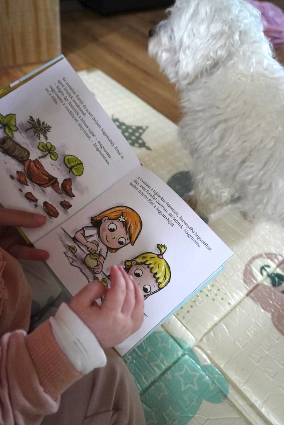 Customer photo review of Pitypang és Lili - Pitypang és a húsvéti nyúl