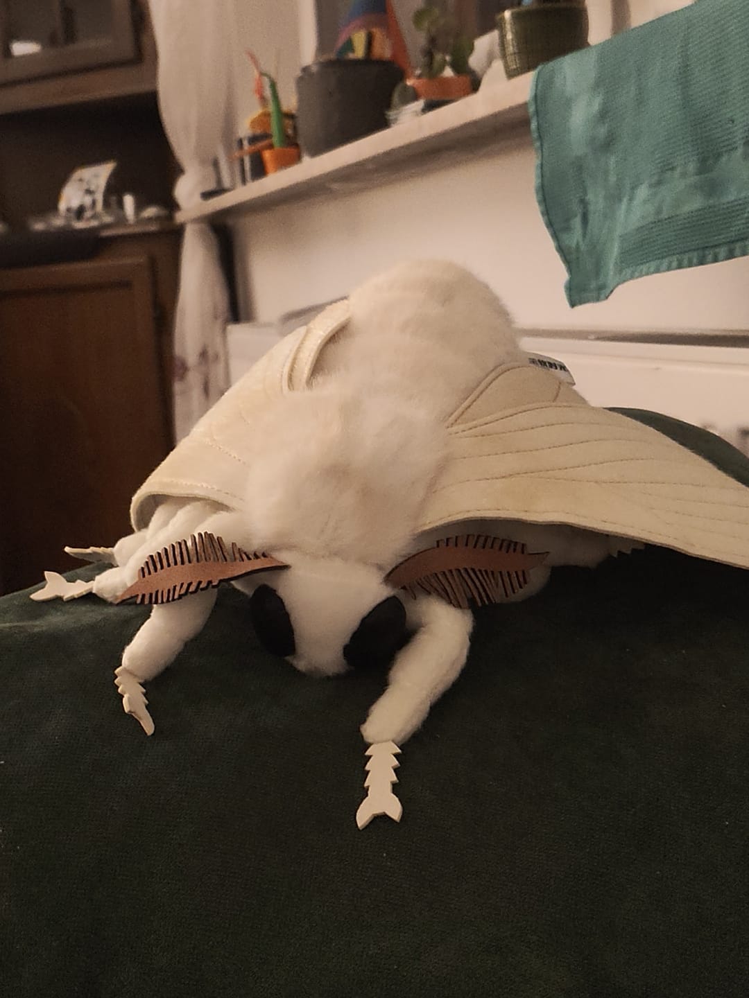 Customer photo review of Silkworm Moth Soft Stuffed Plush Toy