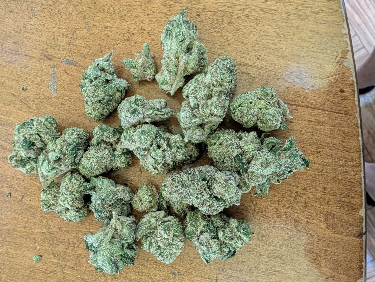 Customer photo review of Blueberry THCA Flower (Exotic)