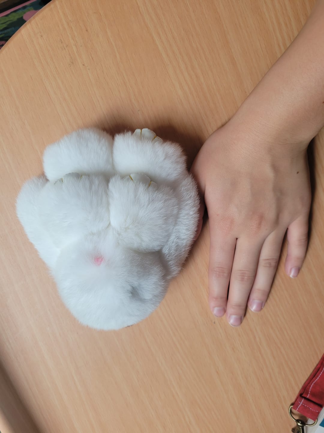 Customer photo review of Fluffy Bunny Plushie Keychains