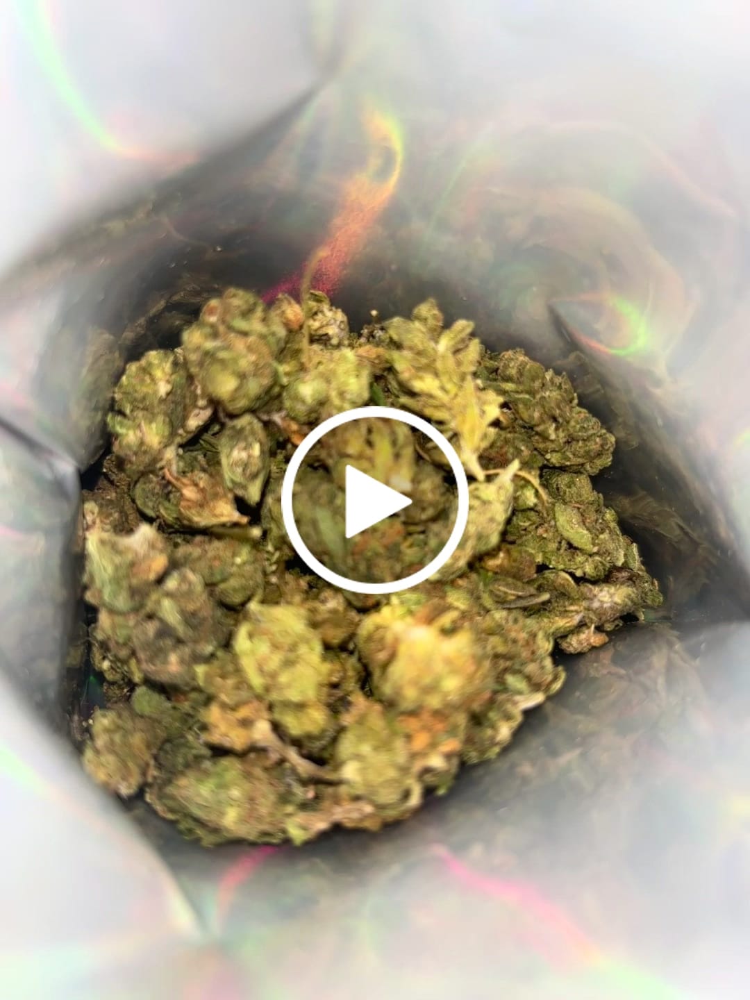 Customer video review of White Widow MICROS - 28 Grams - Hybrid
