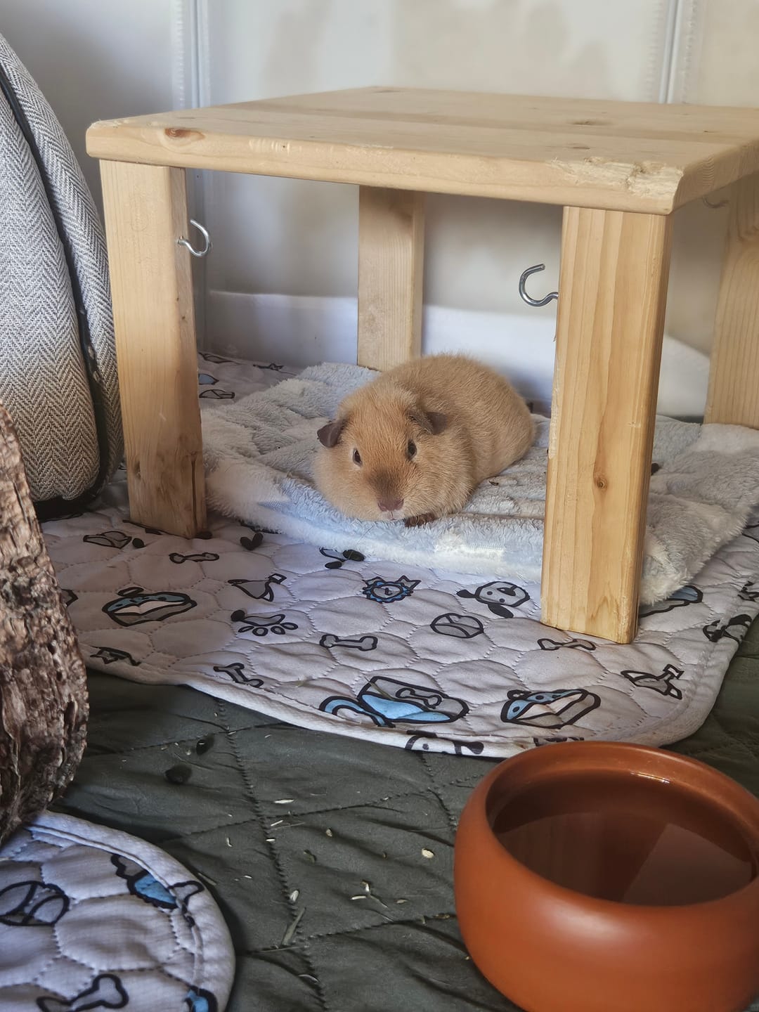 Customer photo review of 💗 Kuschelbett Sterne klein – weich & gemütlich für Meerschweinchen