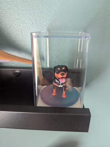 Customer's Personalized Pet 3D Figurine inside a clear plastic display case on a dark shelf.