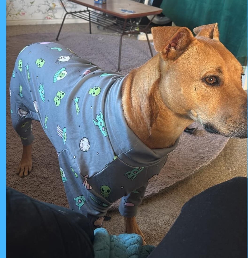 Customer photo review of Dog Pajama - Alien