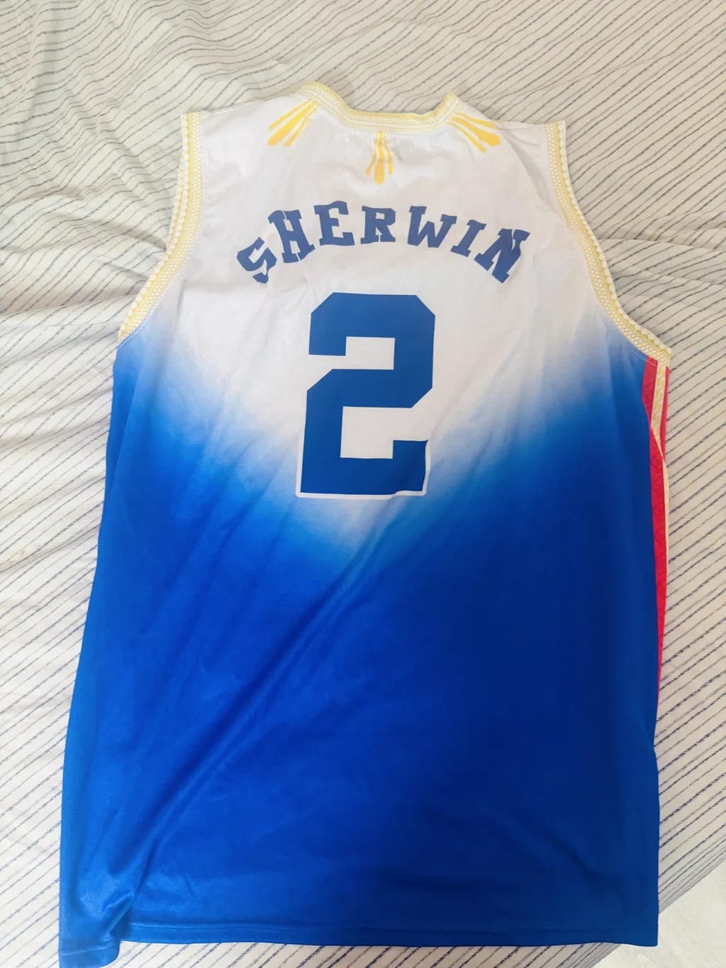 Customer photo review of Philippines 'Luzviminda' Custom Basketball Jersey