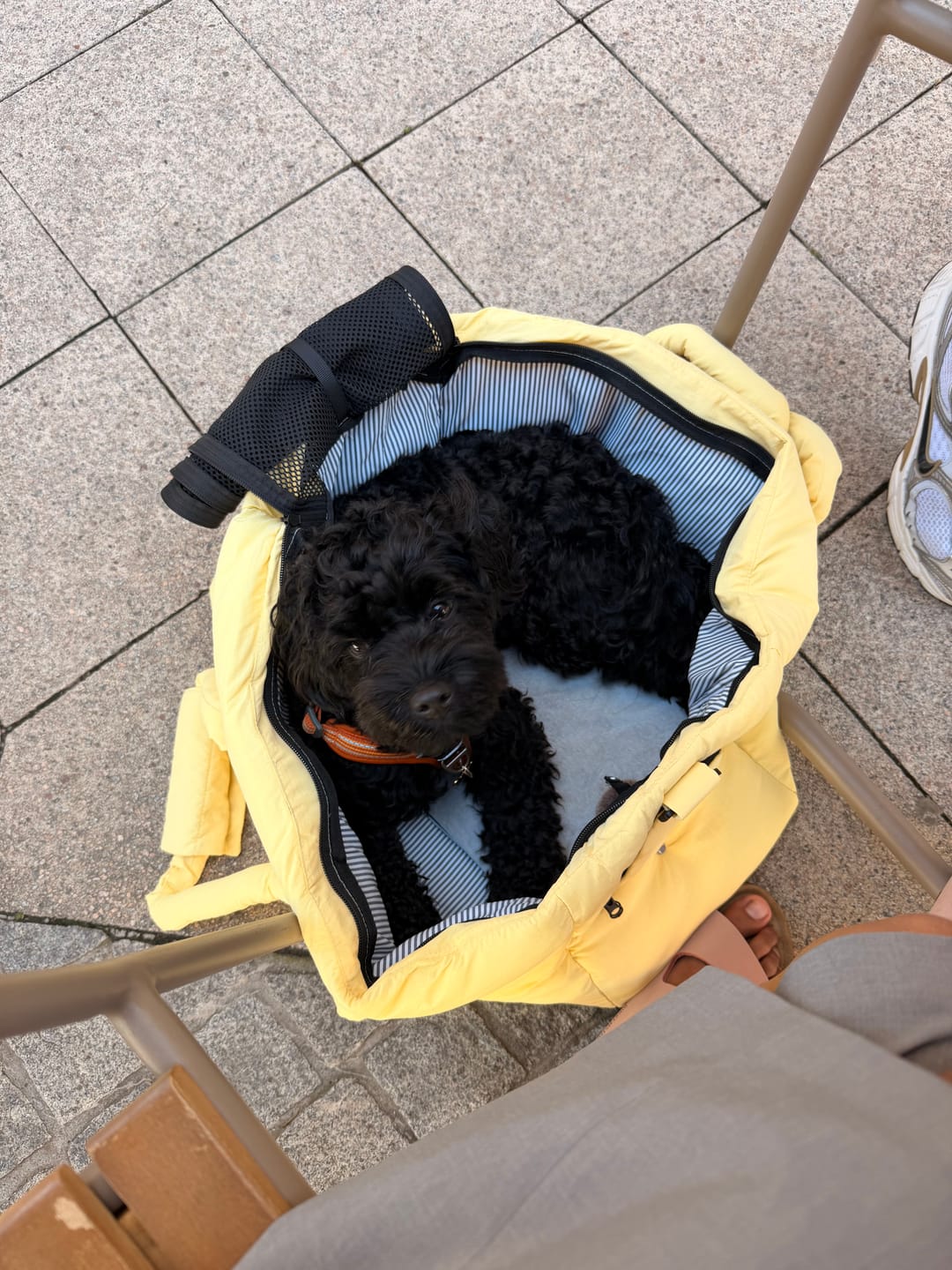 Customer photo review of Sac de voyage - Jaune