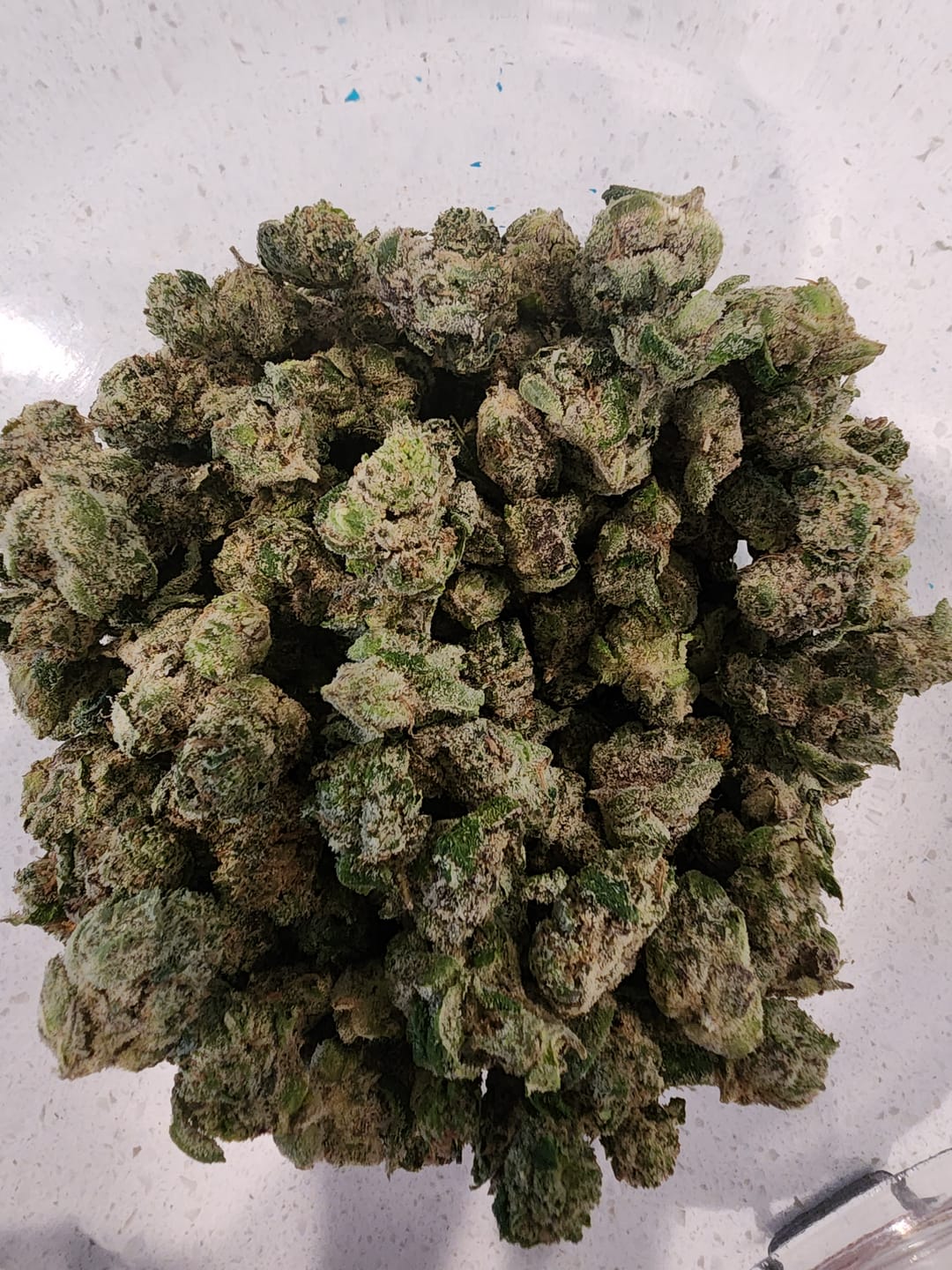 Customer photo review of Blueberry Smalls THCA Flower (Exotic)