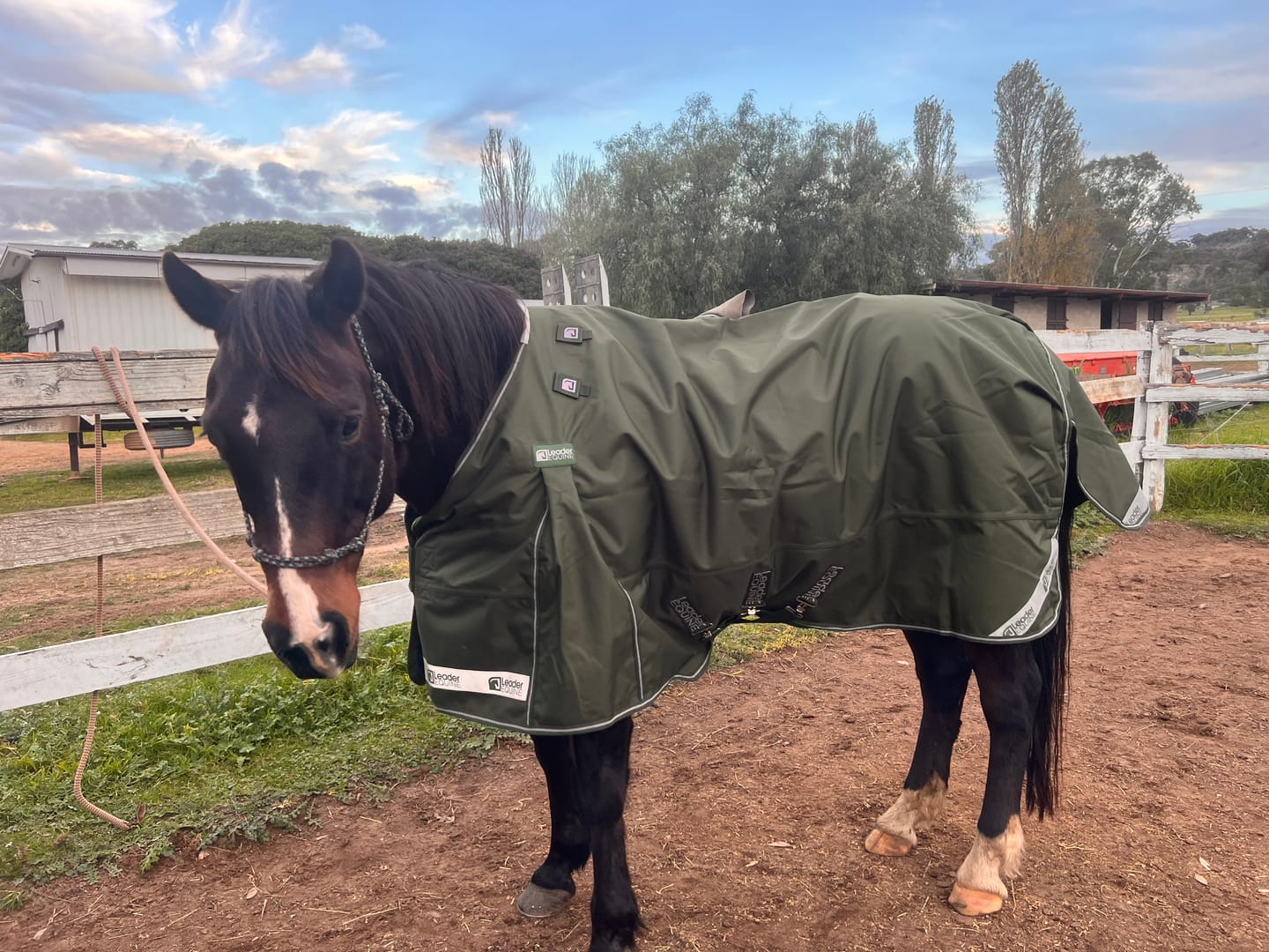 Customer photo review of LE Boxter Turnout 100g
