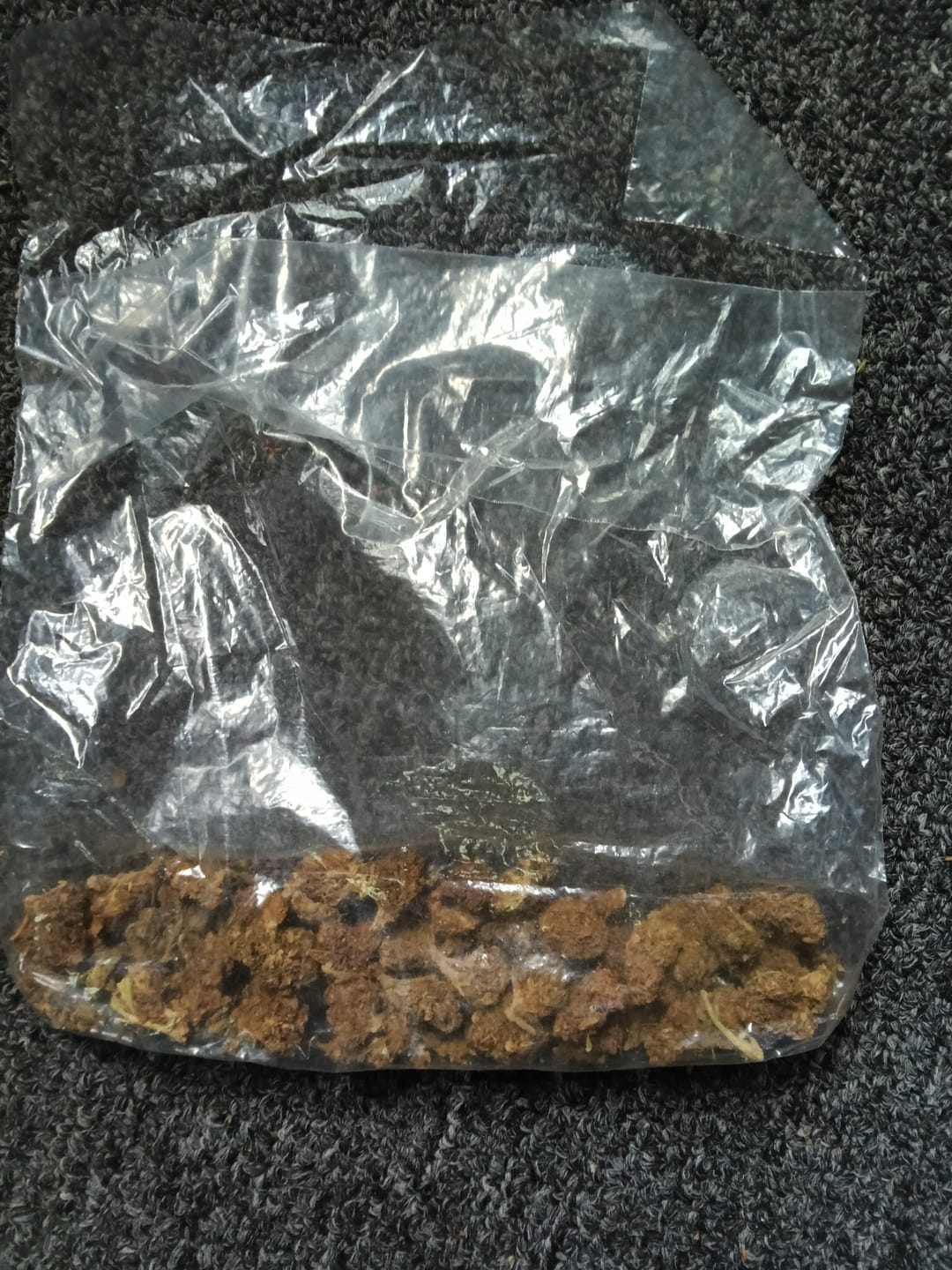 Customer photo review of Butterscotch OG - Bulk - Indica