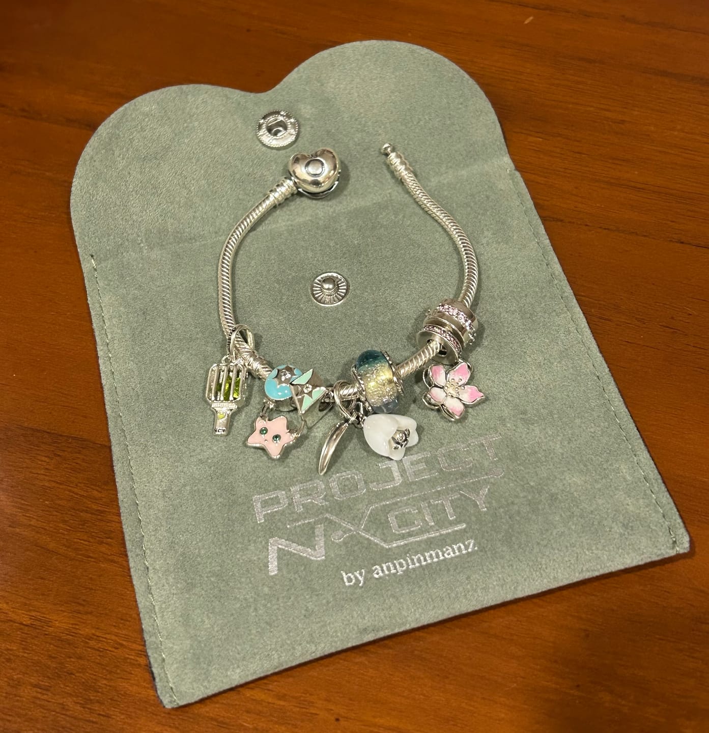 Customer photo review of PREORDER: Project NCity individual charms