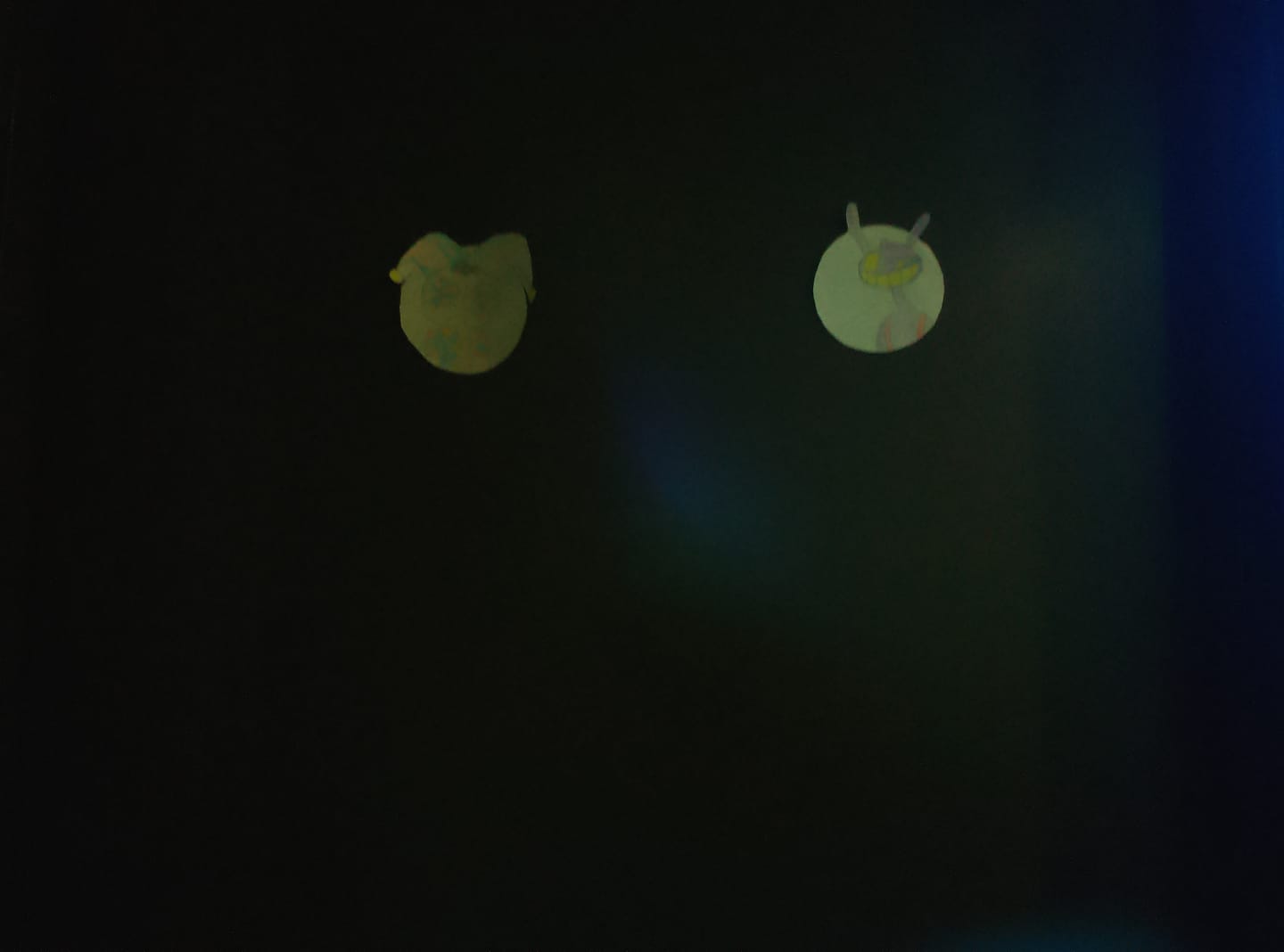 Customer photo review of Ribbit Pendantz Blindbox