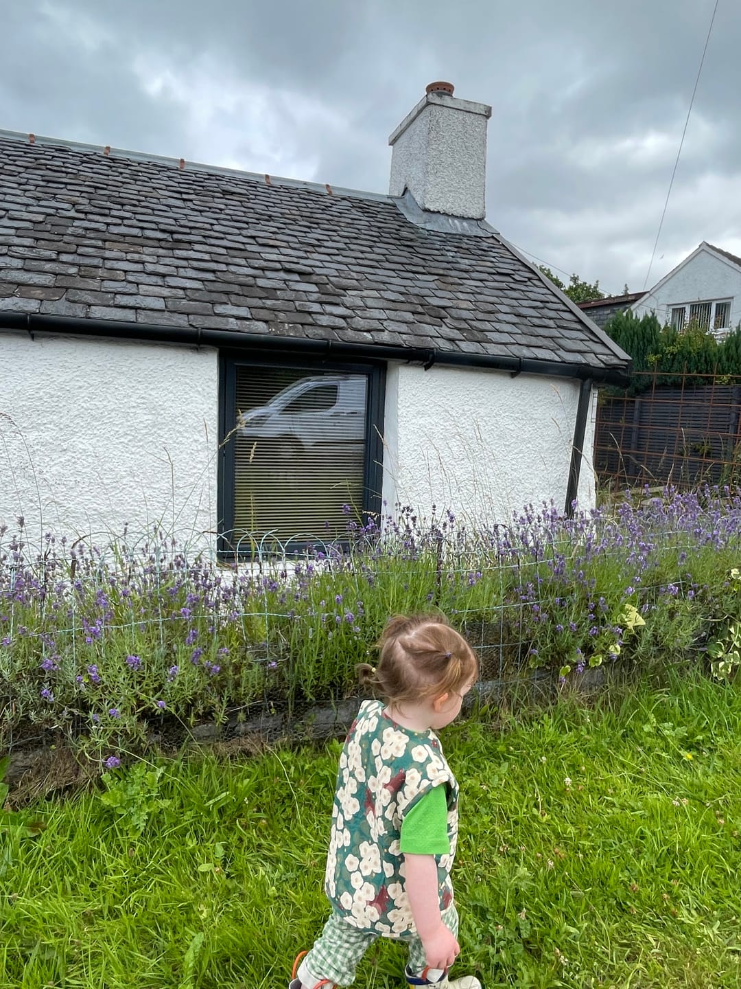 Customer photo review of Hedgerow Sherpa Lined Reversible Gilet