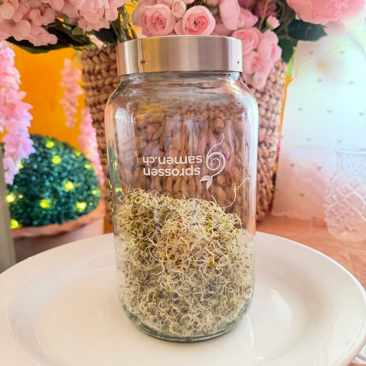 Customer photo review of Keimglas 3100ml The Way We Grow™ aus Glas mit Ständer Biosprosser