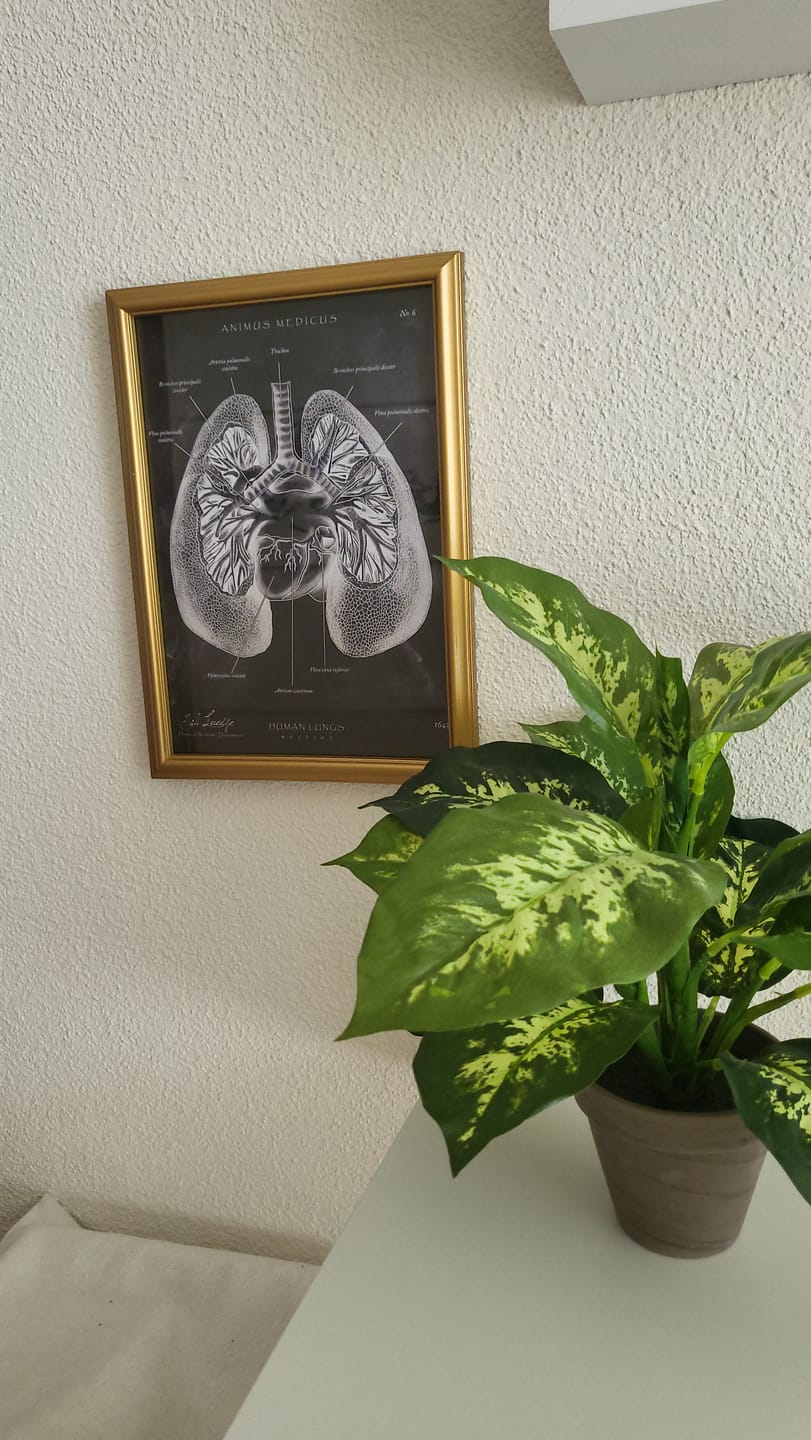 Customer photo review of Lungen Anatomie - Chalkboard