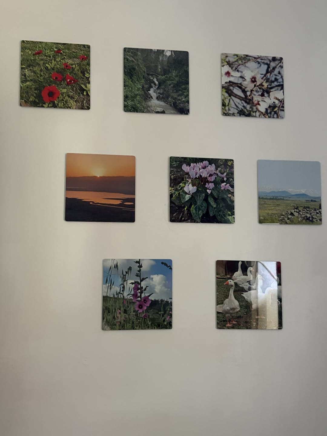 Customer photo review of קיר תמונות מתמגנטות