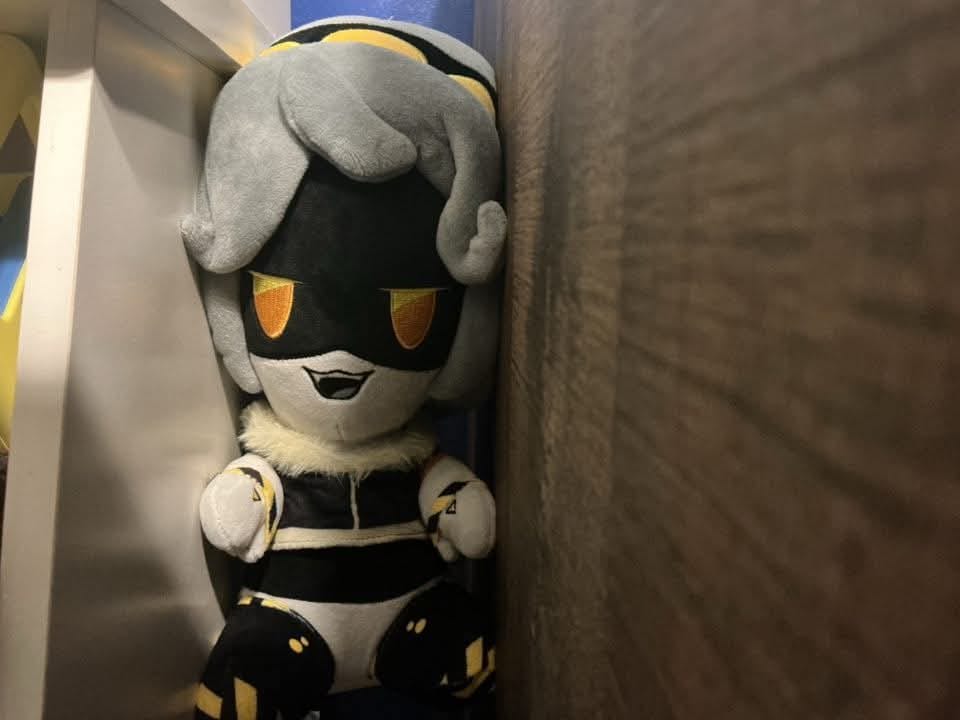 Customer photo review of V Plush