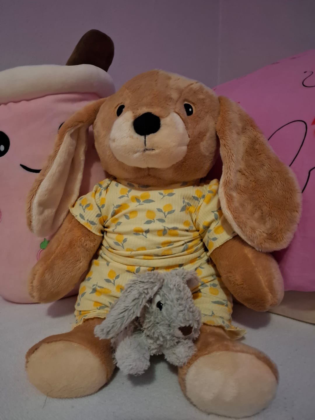 Customer photo review of Lotgenootje Konijn 2kg