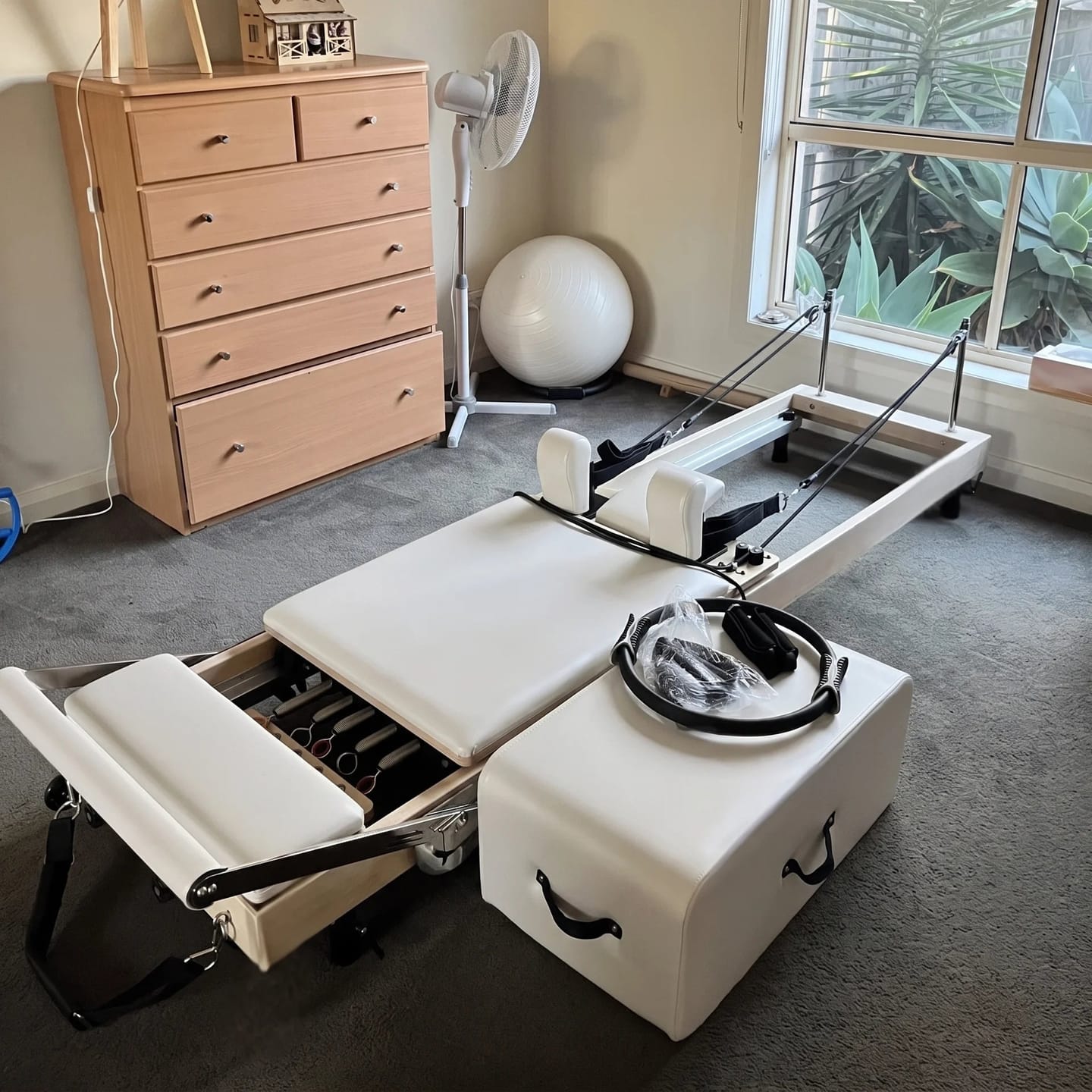 Customer photo review of Willow Reformer