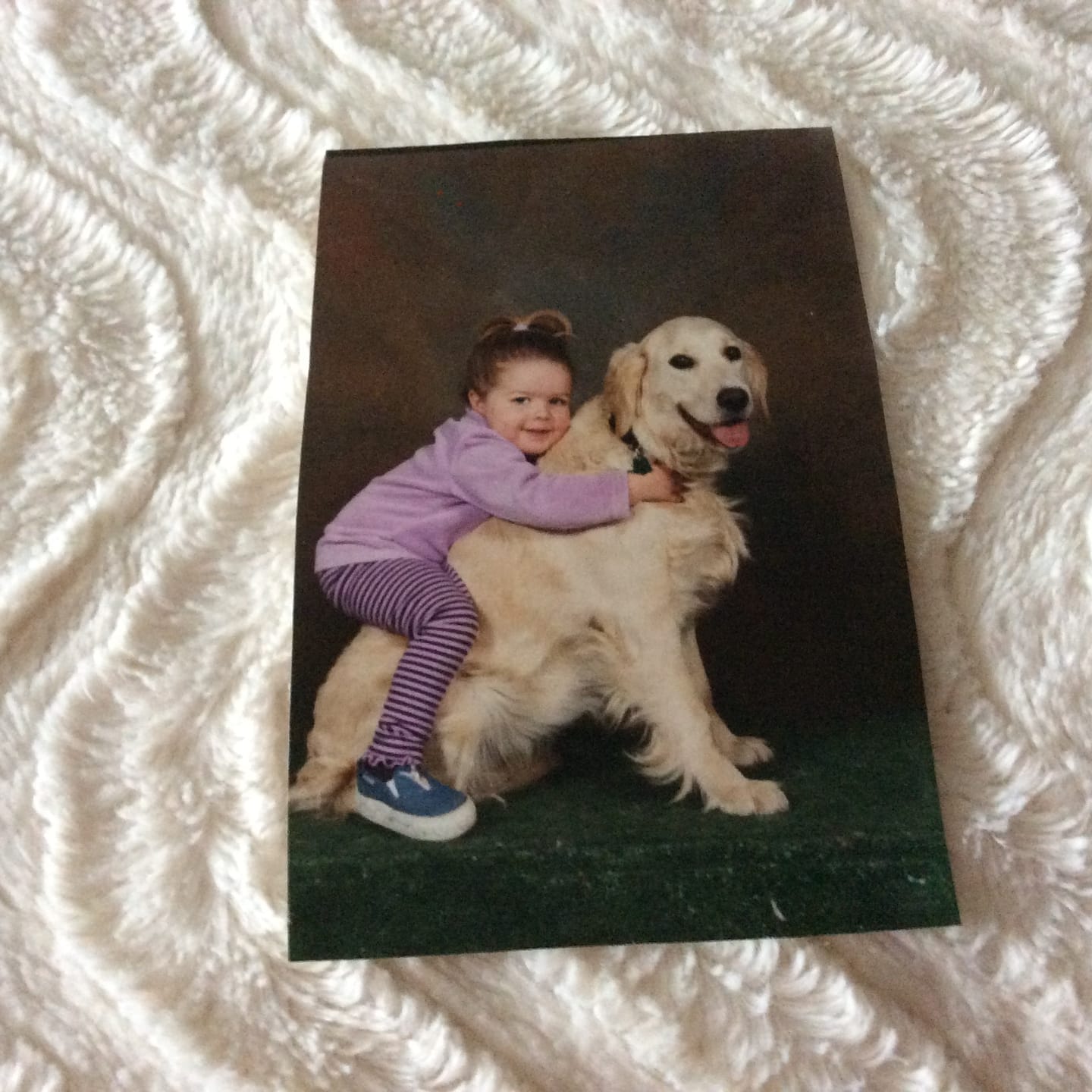 Customer photo review of Custom Paint By Numbers Kit – Turn Your Favorite Photo Into Art