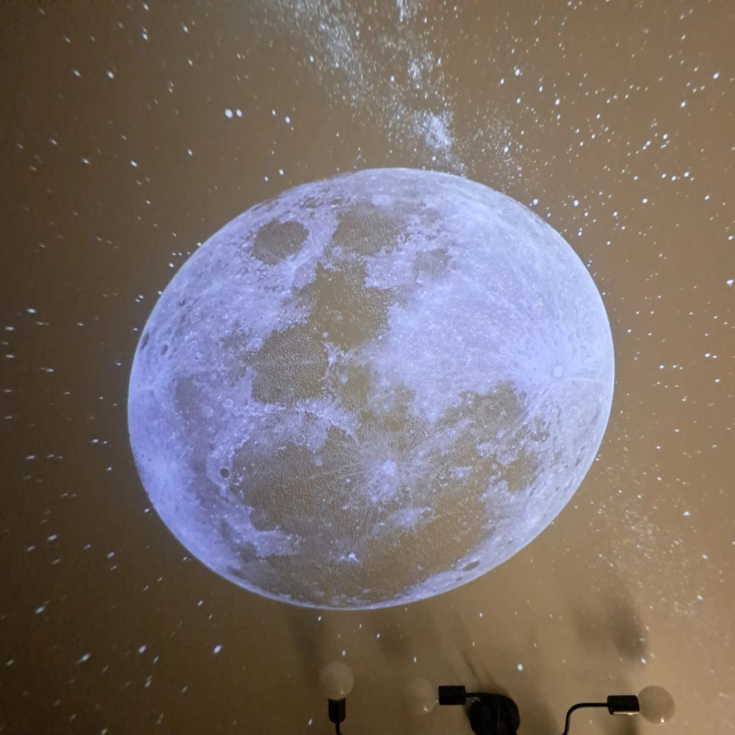 Customer photo review of Starry Sky Projector