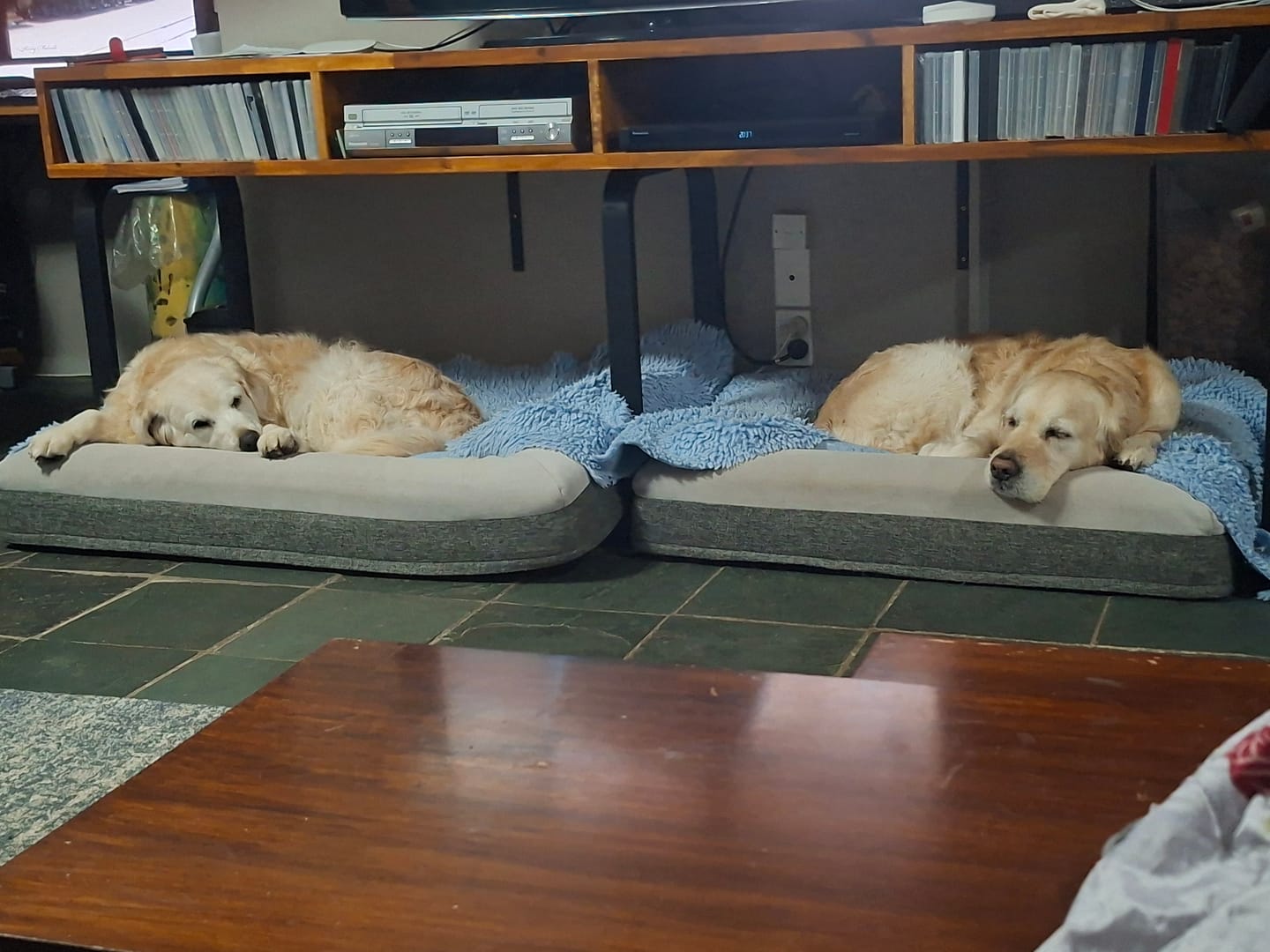 Customer photo review of Orthopaedic Memory Foam Bed