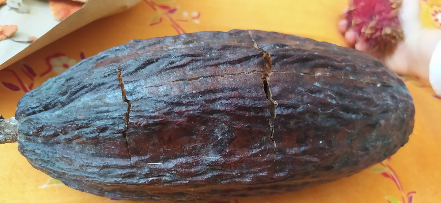 Customer photo review of Kakaofrucht naturbelassen
