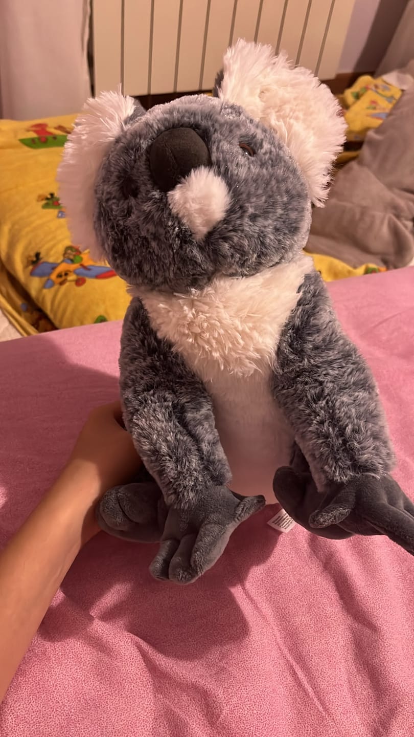 Customer photo review of The Lounge Plush