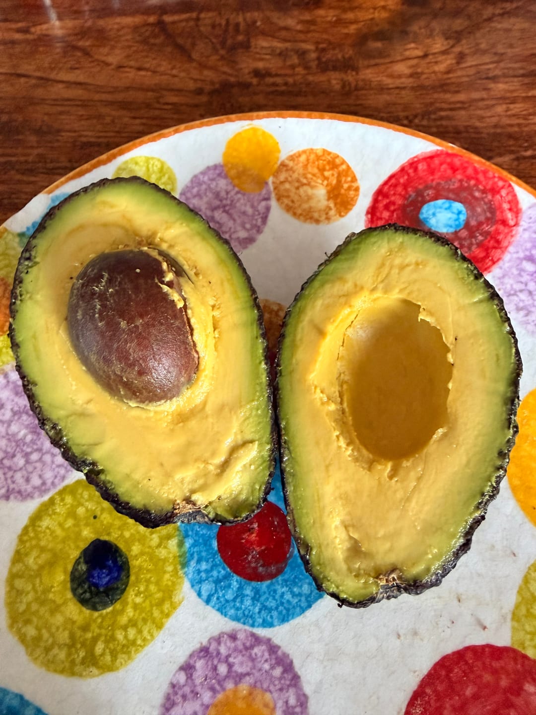 Customer photo review of Avocado Hass 15 Monate baumgereift von Julian