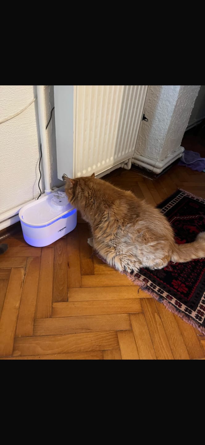 Customer photo review of Kedi Su Pınarı | Ultra Sessiz, Wifi, Akıllı, Otomatik, Su Çeşmesi (Beyaz - X8650)