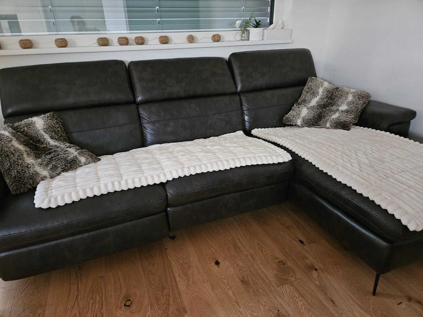Customer photo review of PetLounge I Premium Sofa-Schutz