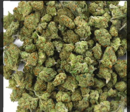 Biscotti Cake - 28 Grams - Hybrid photo review