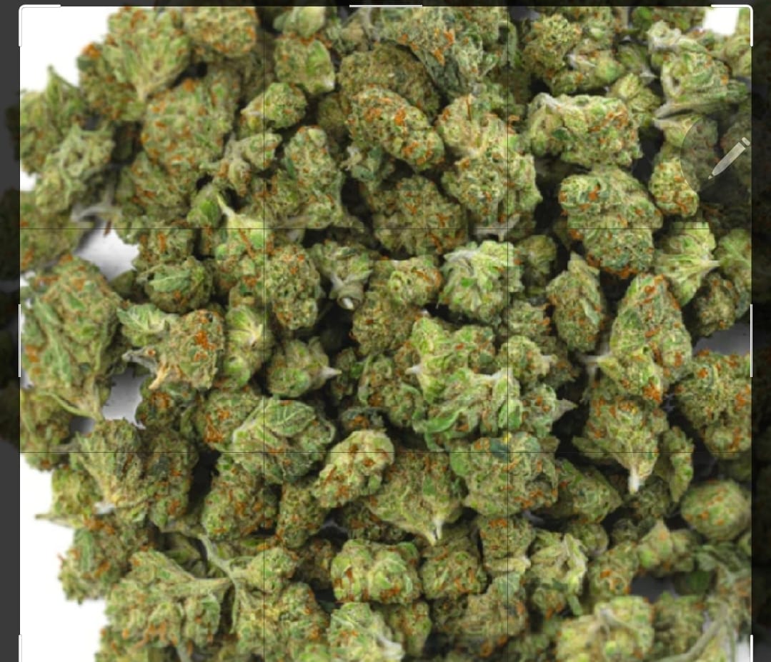 Customer photo review of Biscotti Cake - 28 Grams - Hybrid