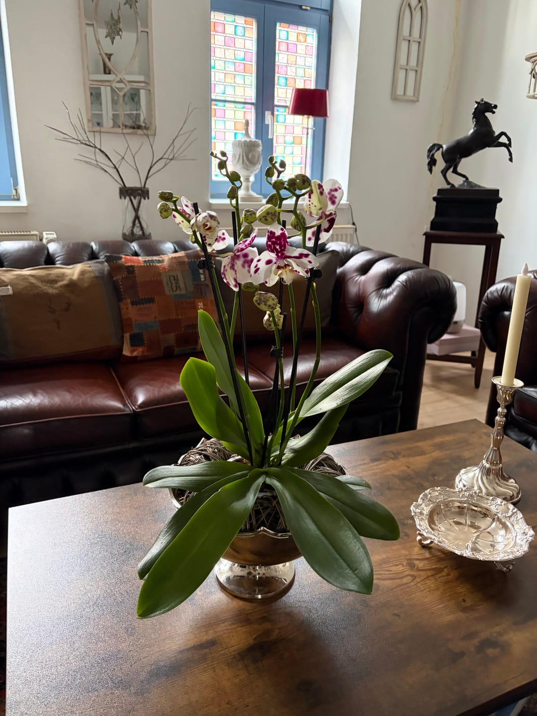 Customer photo review of Große Two of Us Marrakesh mit gefleckten Blüten und 4 Rispen