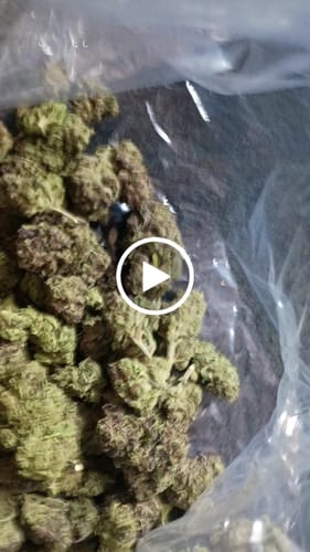 Black Cherry Soda - Bulk - Indica photo review