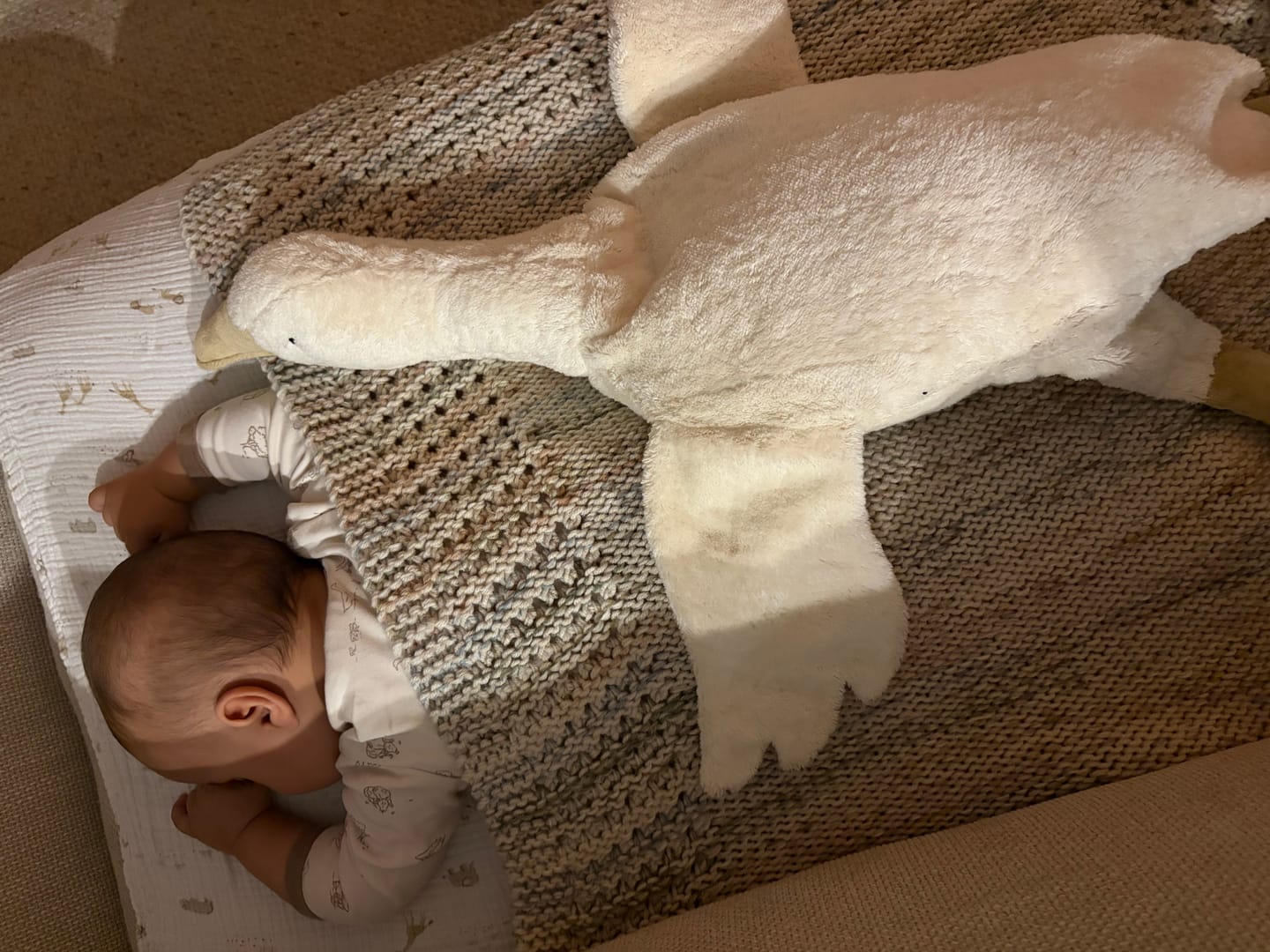 Customer photo review of SENGER NATURWELT CUDDLY ANIMAL | HEAT/COOL PACK | LARGE GOOSE