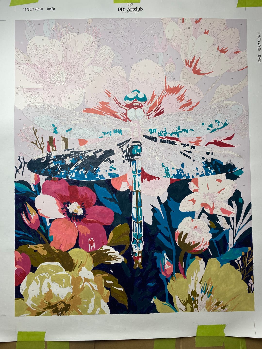 Customer photo review of Precious Dragonfly | Paint by Number