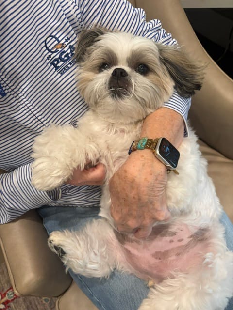 Customer photo review of Chic Chakra Stretch Apple Watch Strap