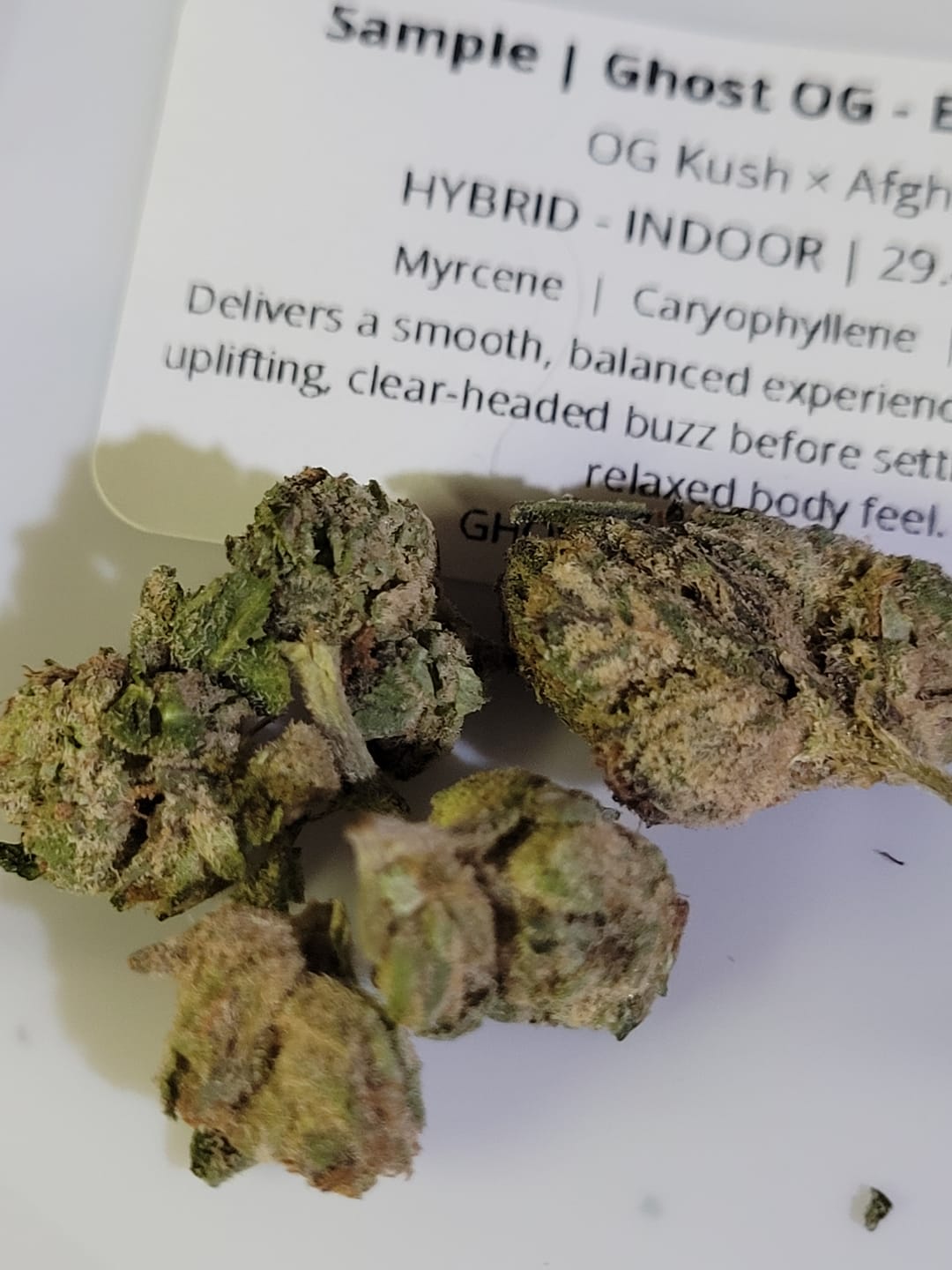 Customer photo review of Ghost OG - Exotic Smalls