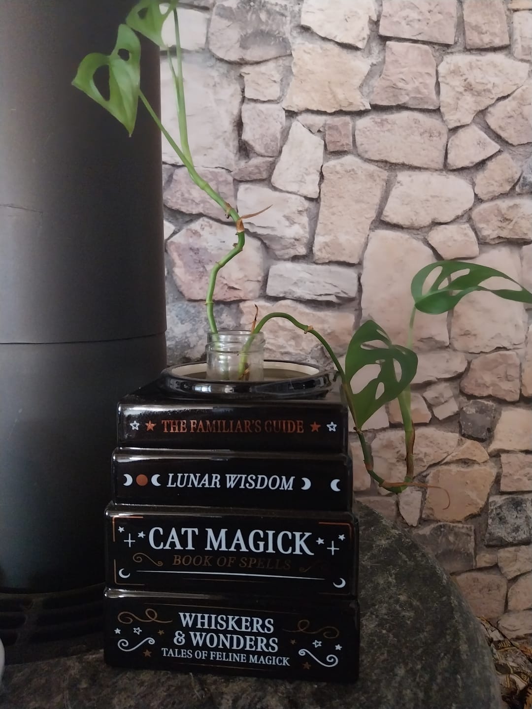 Customer photo review of Katzenmagie Vase „Bücher der Magie“ – Witchy Deko Blumenvase