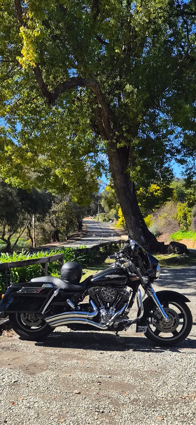 Customer photo review of Rider's Back Support