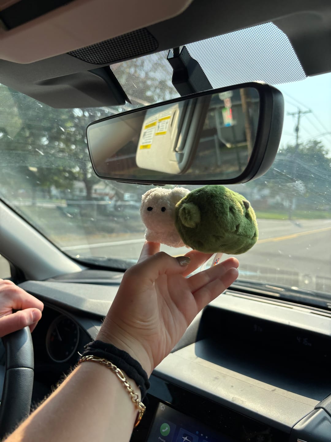 Customer photo review of Forgotten Bitten Pickle