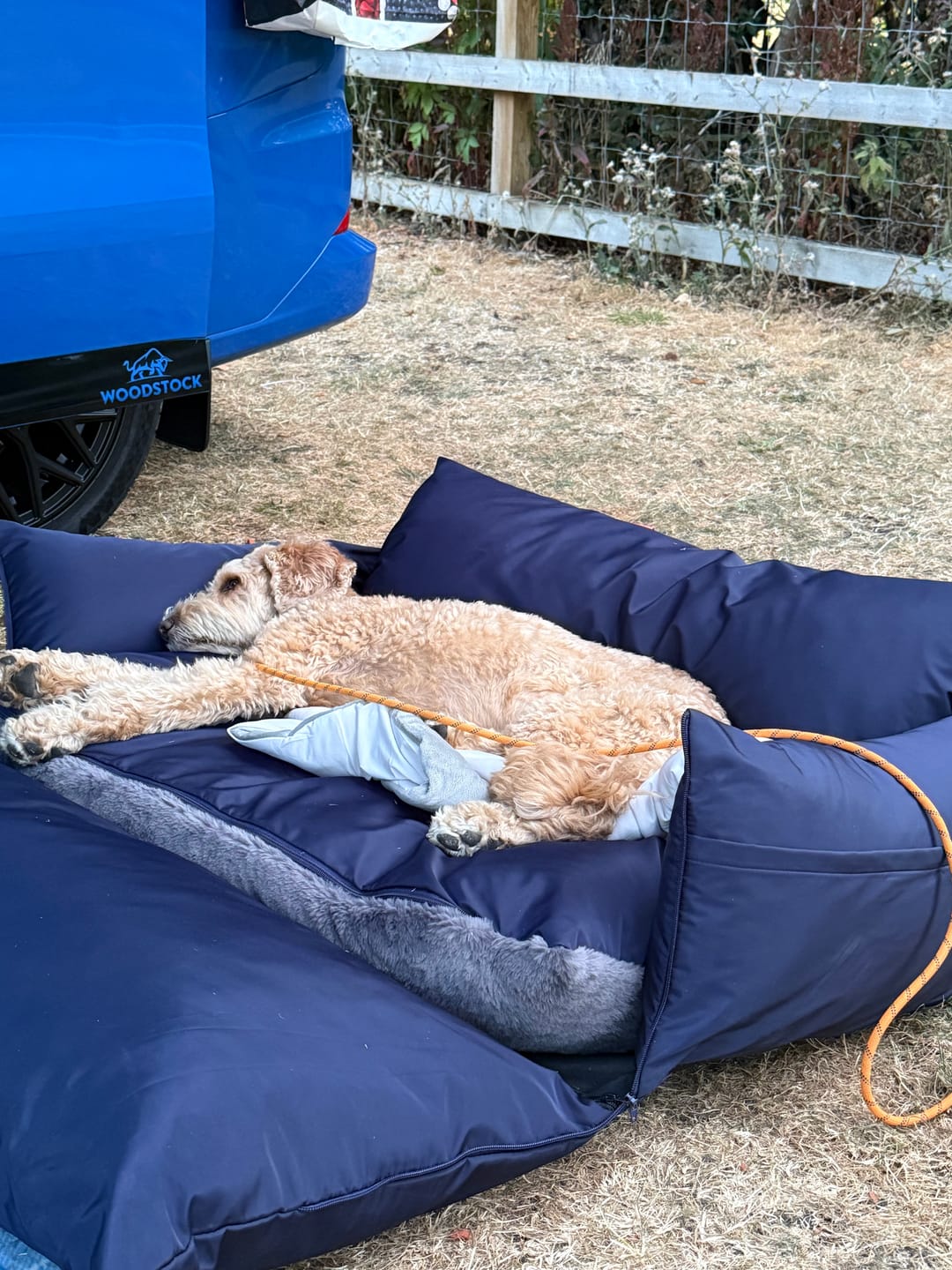 Customer photo review of Travel Dog Pod XL - Now With Isofix