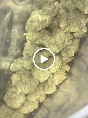 Customer video review of Cheap THCA Flower Ounce