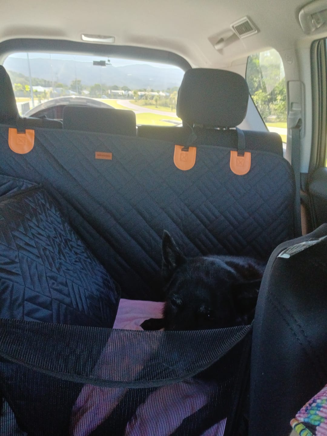 Customer photo review of Companion&Co™ CalmDrive Travel System