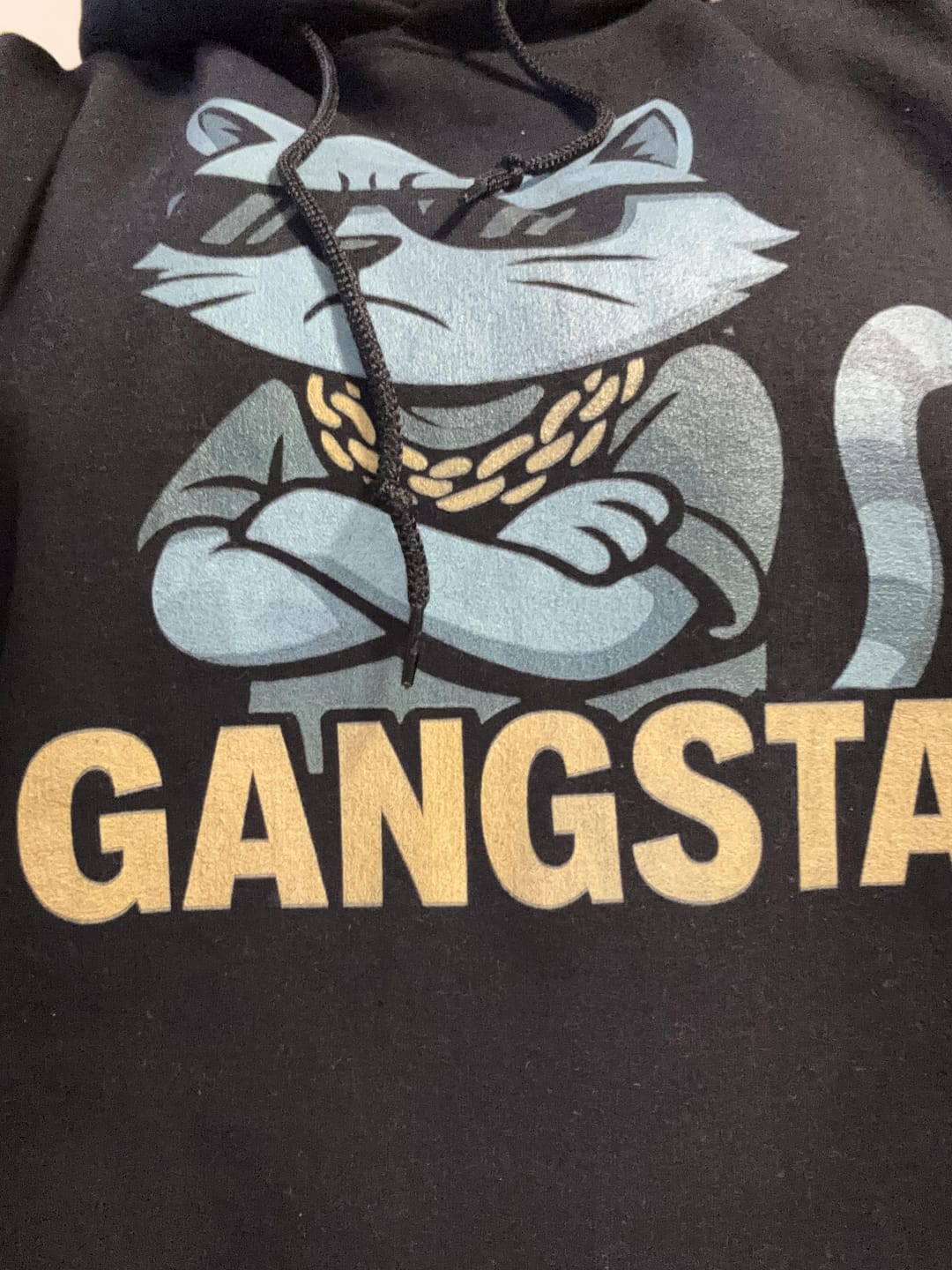 Customer photo review of Gangsta Cat - Hoodie